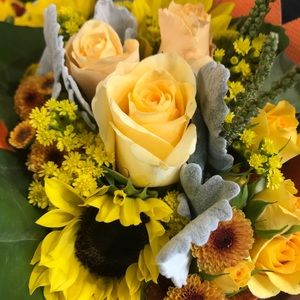 Meet your Posher, Esther